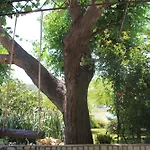 501 - Spacious And Bright On Island Of Rab Apartman Rab Town