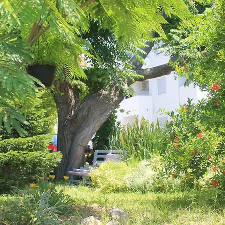 501 - Spacious And Bright On Island Of Rab * ראב
