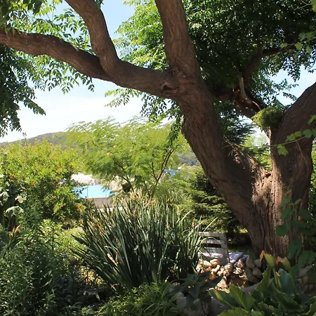 501 - Spacious And Bright On Island Of Rab ראב