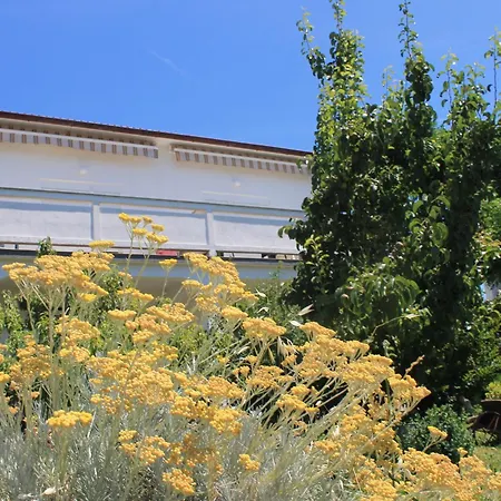 Lejlighed 501 - Spacious And Bright On Island Of Rab Rab Town