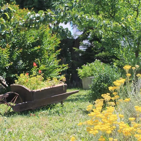 501 - Spacious And Bright On Island Of Rab Lejlighed