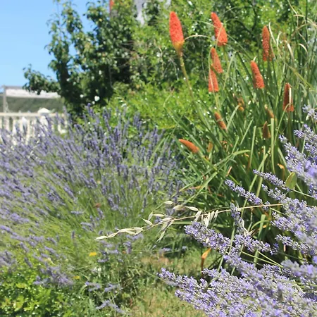 501 - Spacious And Bright On Island Of Rab Lejlighed *