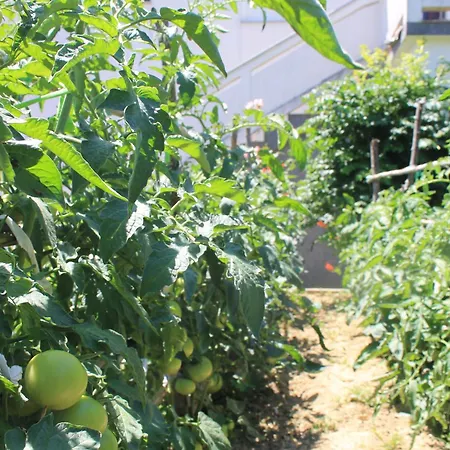 Lejlighed 501 - Spacious And Bright On Island Of Rab Rab Town