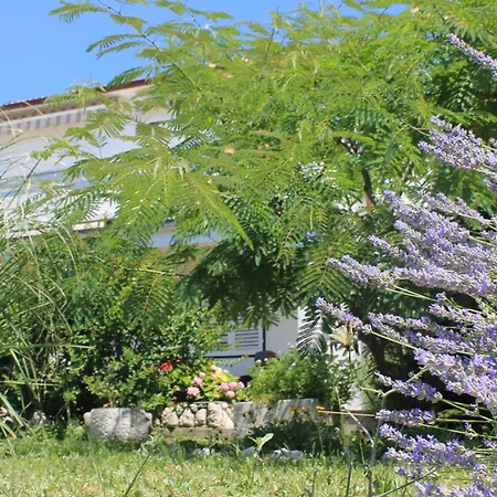 Lejlighed 501 - Spacious And Bright On Island Of Rab *