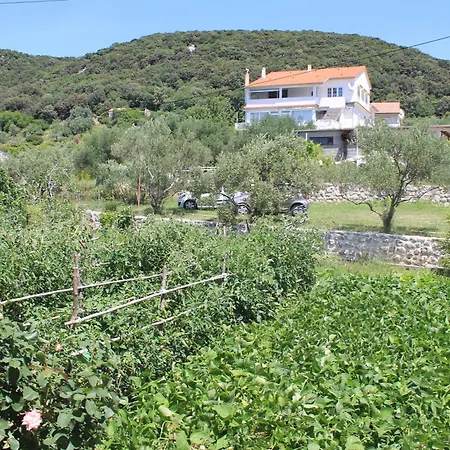 501 - Spacious And Bright On Island Of Rab Lejlighed