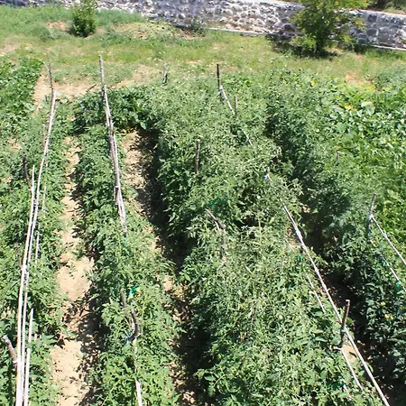 501 - Spacious And Bright On Island Of Rab * Rab Town