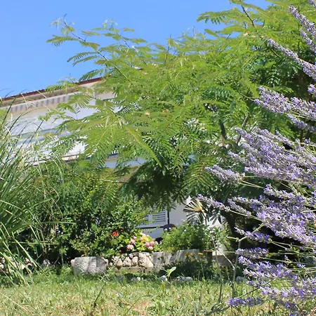 501 - Spacious And Bright On Island Of Rab Lejlighed Rab Town