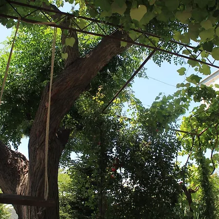 501 - Spacious And Bright On Island Of Rab Lejlighed