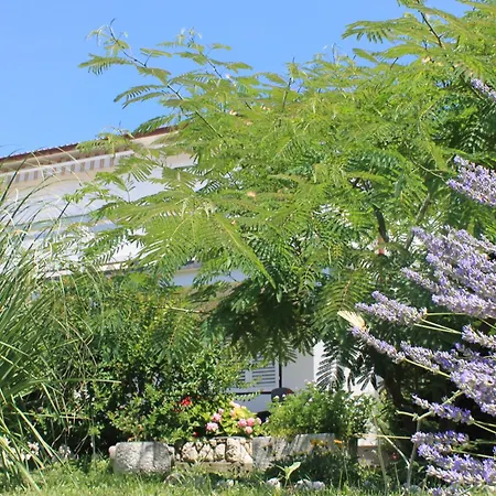 501 - Spacious And Bright On Island Of Rab *