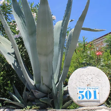 501 - Spacious And Bright On Island Of Rab Lejlighed *