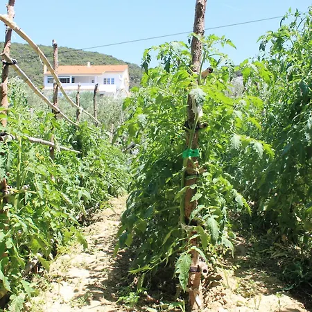 Lejlighed 501 - Spacious And Bright On Island Of Rab