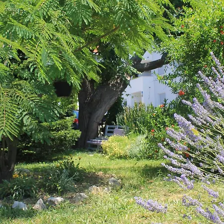 501 - Spacious And Bright On Island Of Rab Lejlighed