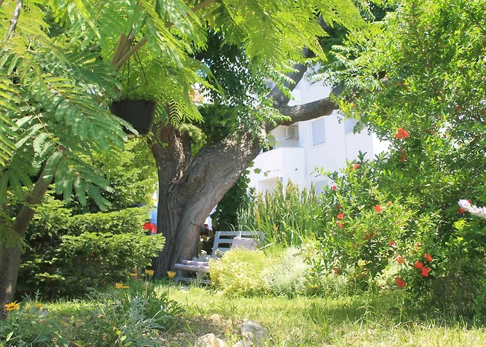 501 - Spacious And Bright On Island Of Rab * Rab Town