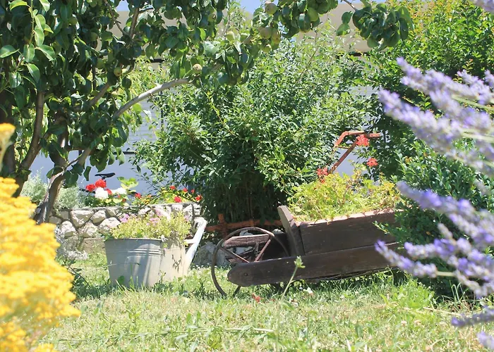501 - Spacious And Bright On Island Of Rab