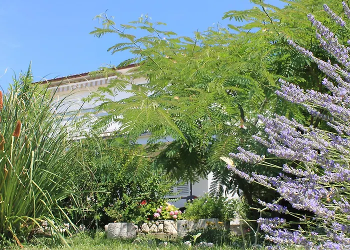 501 - Spacious And Bright On Island Of Rab *