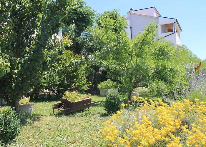 501 - Spacious And Bright On Island Of Rab
